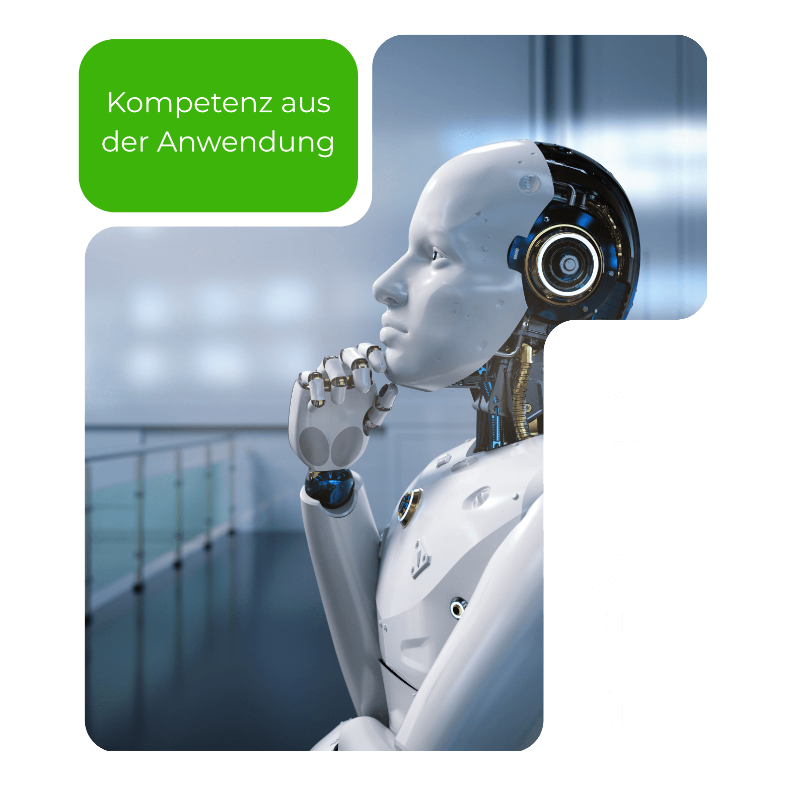 Maßgeschneiderte KI-Lösungen für Ihr Unternehmen